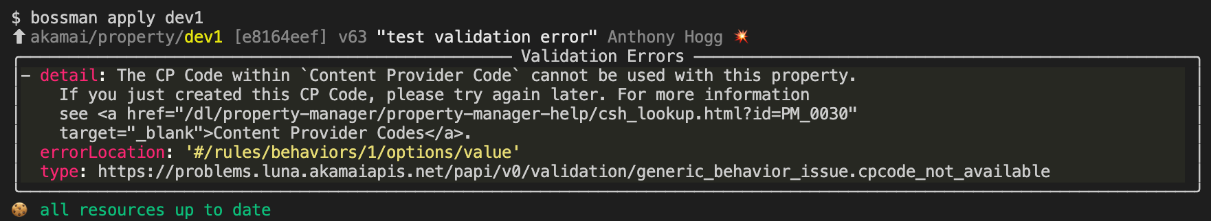 ../../_images/apply_validation_errors.png